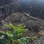 Casa Da Estrela Canopus بيت للعطل Cabeco Chao