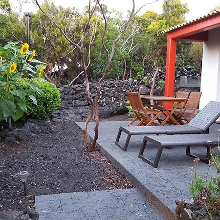 Semesterbostad Casa Da Estrela Canopus Cabeco Chao