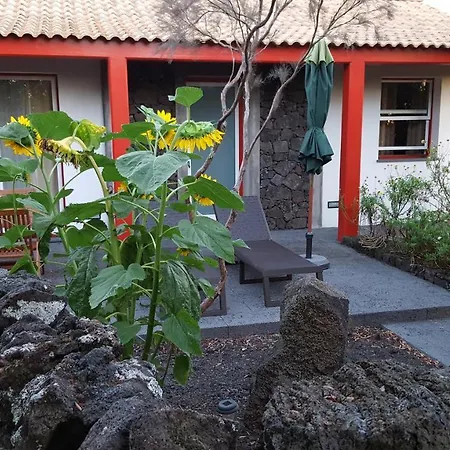 Semesterbostad Casa Da Estrela Canopus