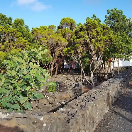 Semesterbostad Casa Da Estrela Canopus