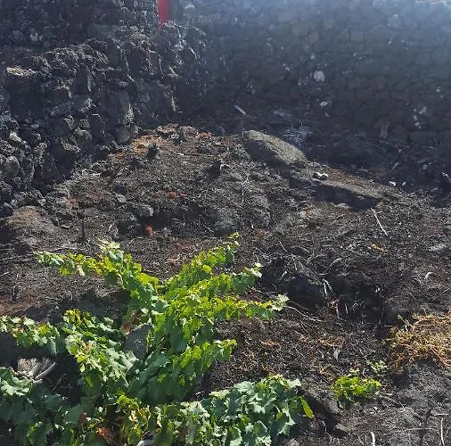 Casa Da Estrela Canopus Сasa de vacaciones Cabeco Chao