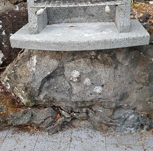 Casa Da Estrela Canopus *