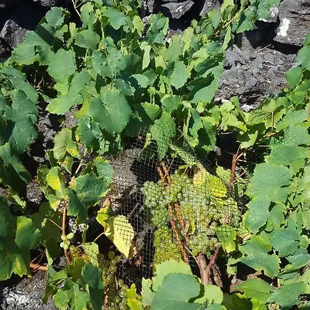 Vakantiehuis Casa Da Estrela Canopus