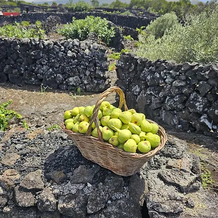 Vakantiehuis Casa Da Estrela Canopus Cabeco Chao