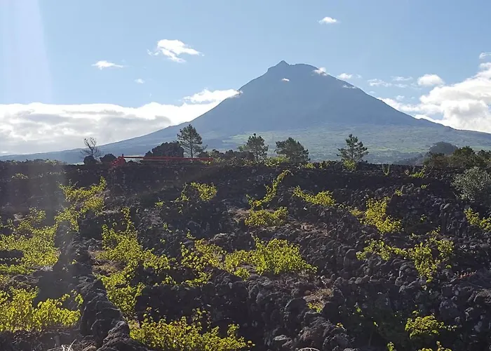 Casa Da Estrela Canopus Holiday home Cabeco Chao