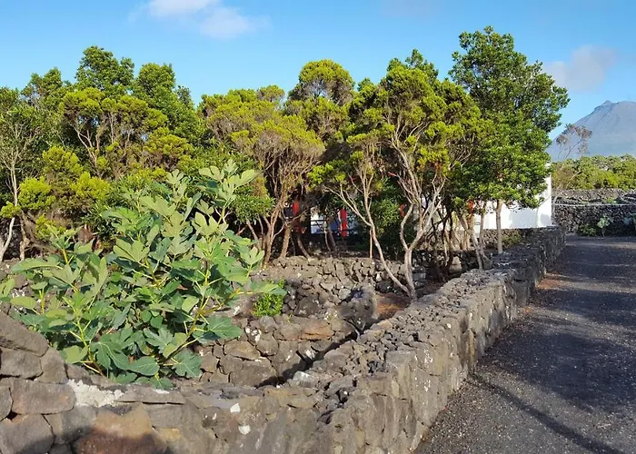 Holiday home Casa Da Estrela Canopus