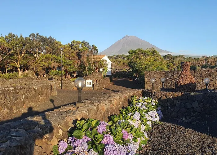 Casa Da Estrela Canopus