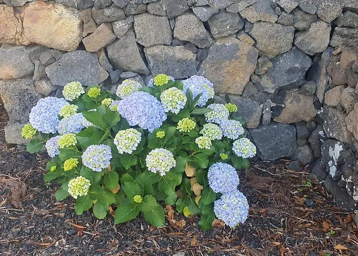 Casa Da Estrela Canopus