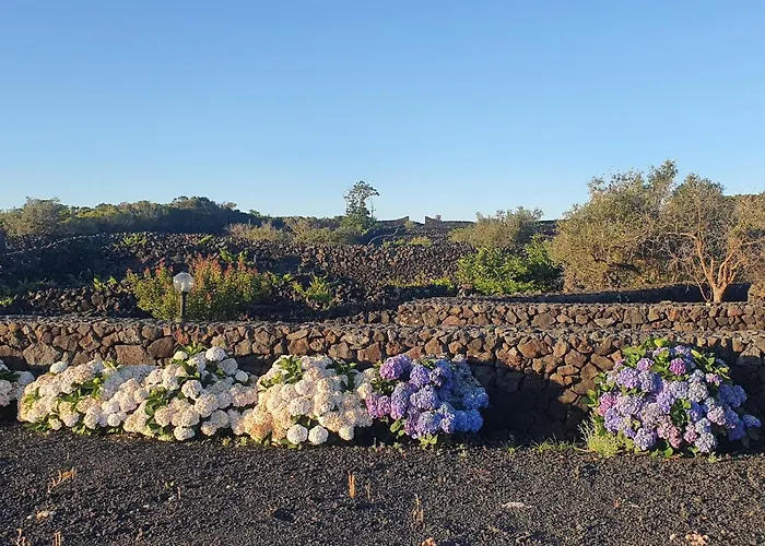 Casa Da Estrela Canopus * Cabeco Chao