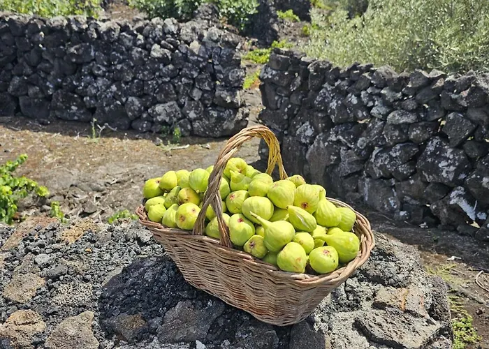 Holiday home Casa Da Estrela Canopus Cabeco Chao