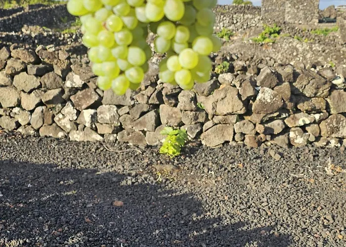 Casa Da Estrela Canopus Holiday home